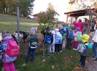 Návštěva z Rakouské mateřské školy z obce Reingers - 2