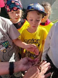 Podzim ve školce 2025 - 26