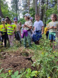 Projekt - Co se děje v trávě - 21